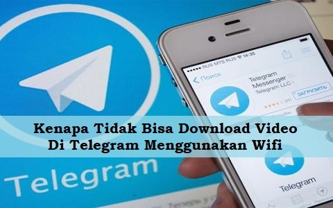 Kenapa Tidak Bisa Download Video Di Telegram Menggunakan Wifi