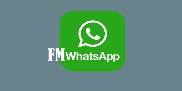 FMWA 8.95 Fmmods.App